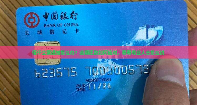 佰仟立案通知怎么办？逾期还款如何应对，看看专业人士怎么说