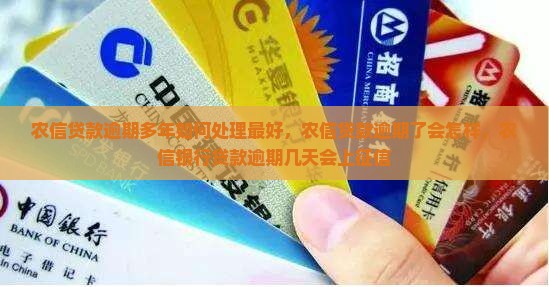 农信贷款逾期多年如何处理