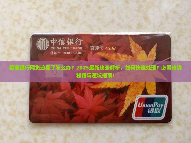 招商银行网贷逾期怎么办应该及时处理