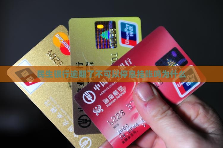 民生银行不可以停息挂账吗为什么