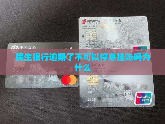 民生银行不可以停息挂账吗为什么