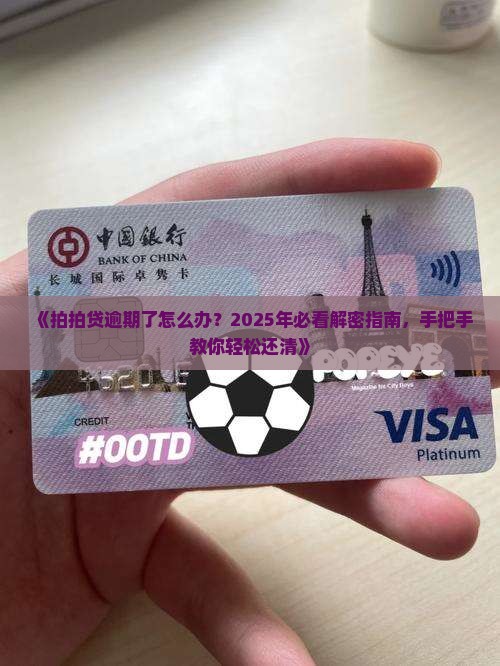 拍拍贷逾期如何还清