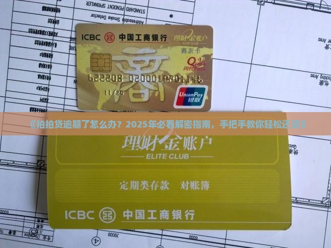 拍拍贷逾期如何还清
