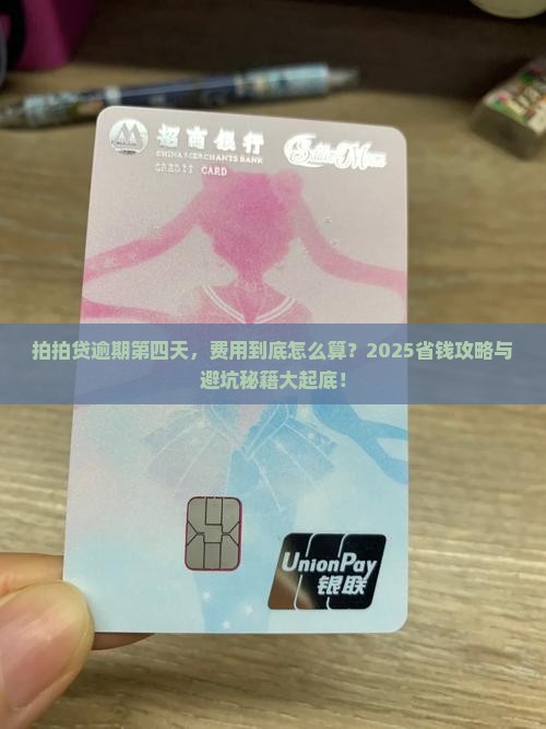 拍拍贷逾期第四天逾期费用多少