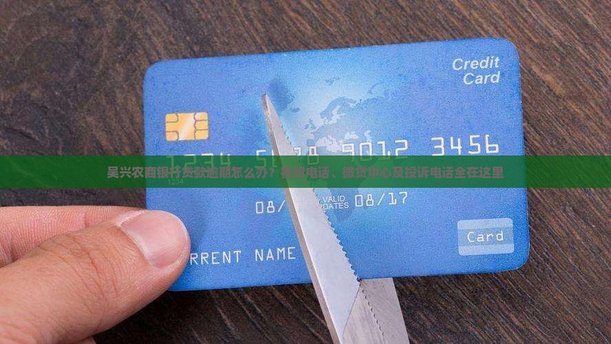 吴兴农商银行贷款逾期怎么办