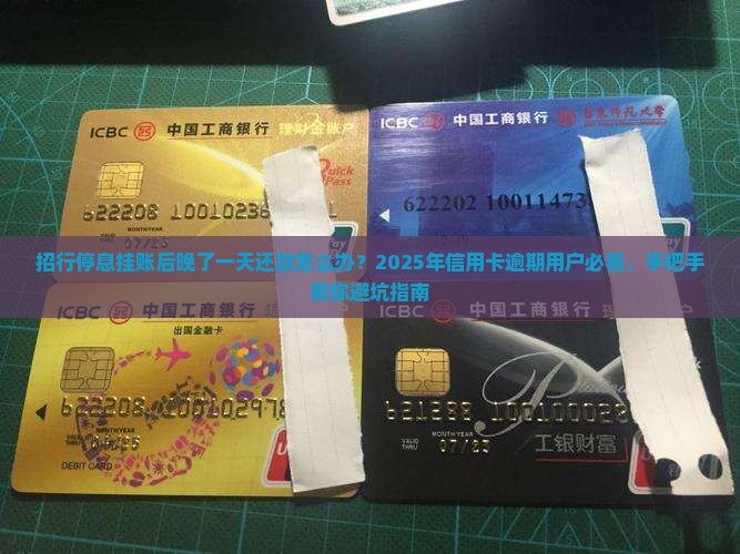 招行停息挂账后晚了一天还款怎么办