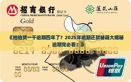 拍拍贷一千逾期四年了如何处理