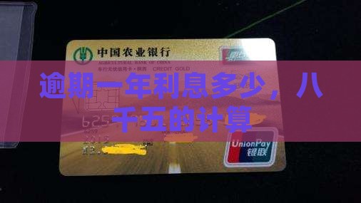 八千五逾期一年利息是多少