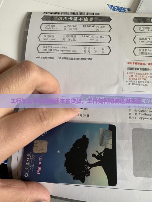 工行怎么可以协商还本金贷款