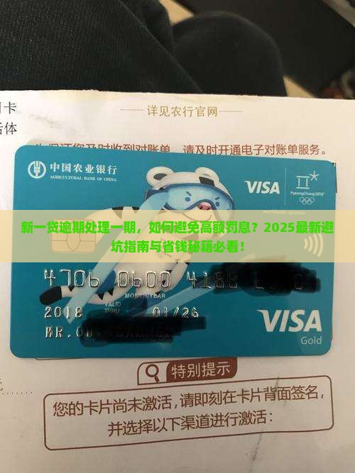 新一贷逾期处理一期