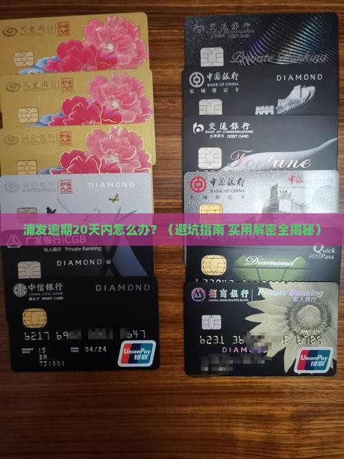 浦发逾期20天内如何处理