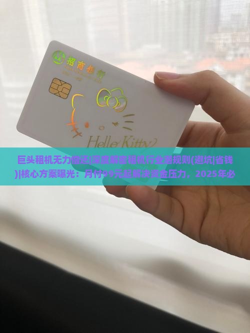 巨头租机无力偿还