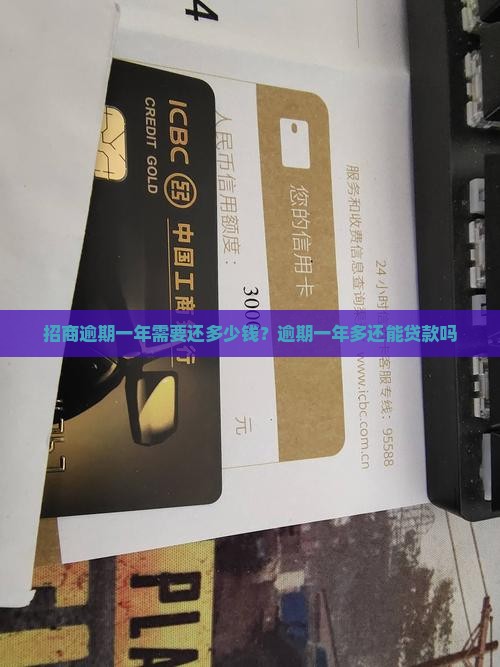 招商逾期一年需要还多少钱