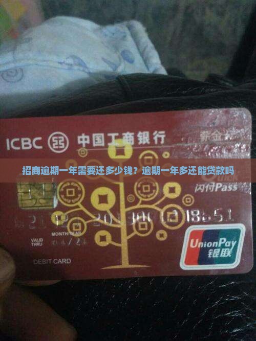 招商逾期一年需要还多少钱