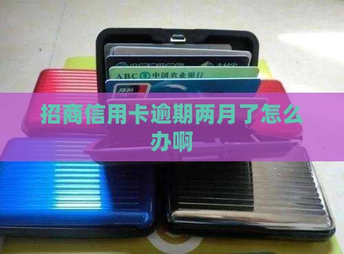 招商信用卡逾期两月了怎么办