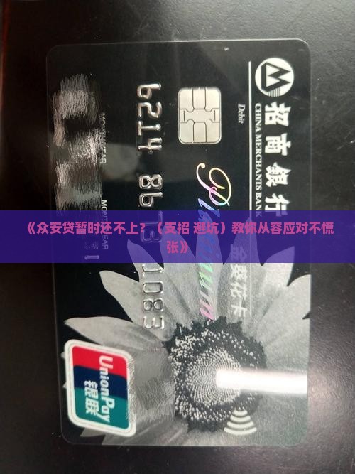 众安贷暂时还不上