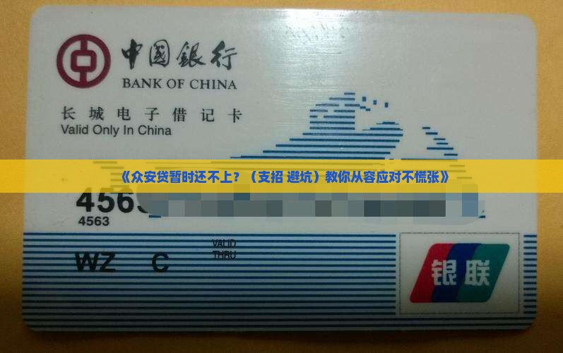 众安贷暂时还不上