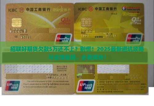 网贷好期贷欠款5万还不上怎么办应该怎样处理