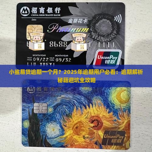 小鲨易贷逾期一个月