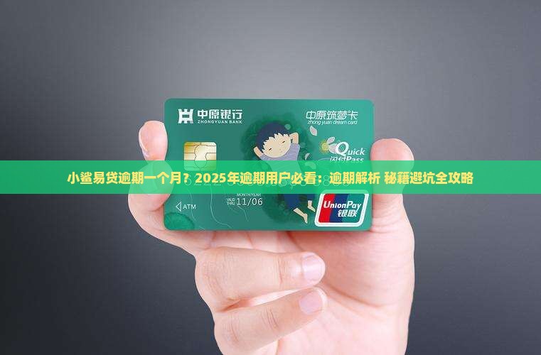 小鲨易贷逾期一个月