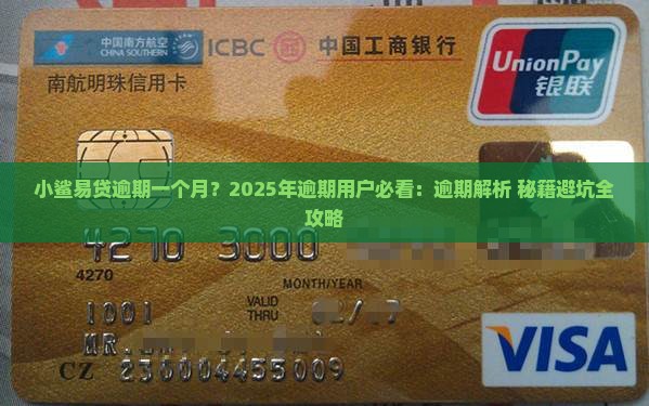 小鲨易贷逾期一个月