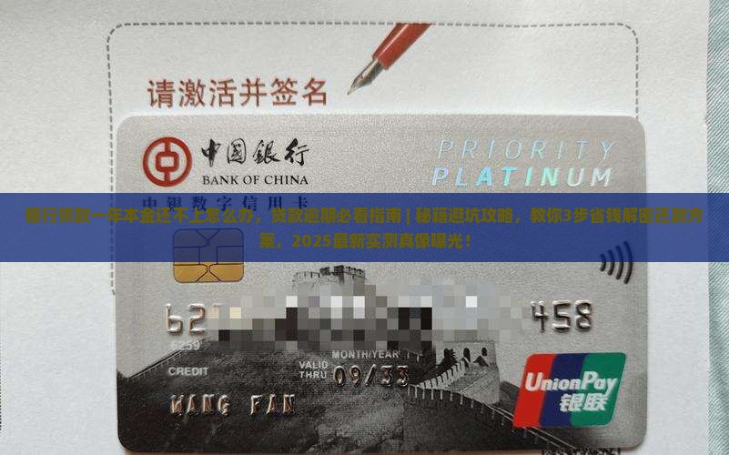 银行贷款一年本金还不上怎么办