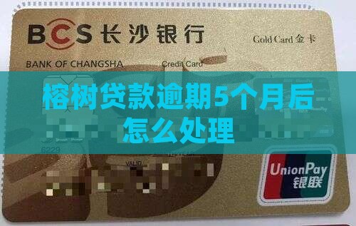 榕树贷款逾期5个月后的处理方式