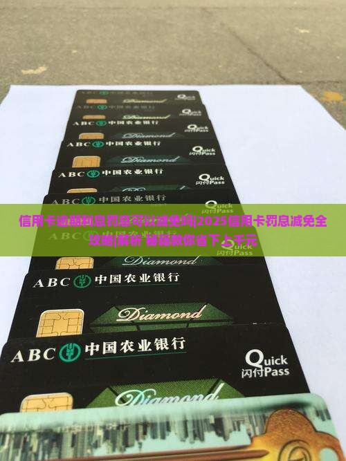 信用卡逾期利息罚息可以减免吗如何操作