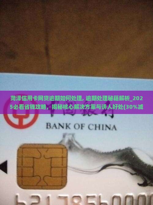 菏泽信用卡网贷逾期如何处理