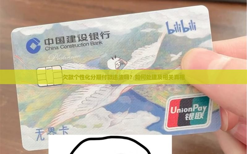欠款个性化分期付款违法吗