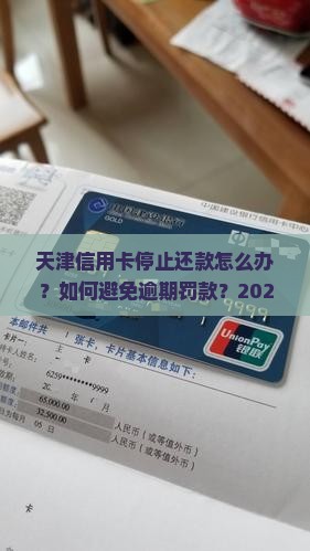 天津信用卡停止还款如何处理