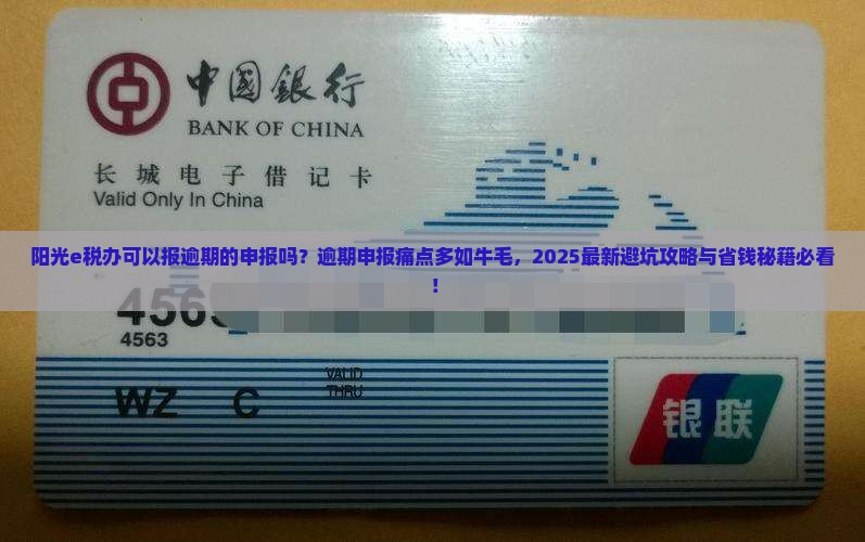 阳光e税办可以报逾期的申报吗