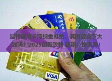 建行信用卡滞纳金减免的具体流程是什么