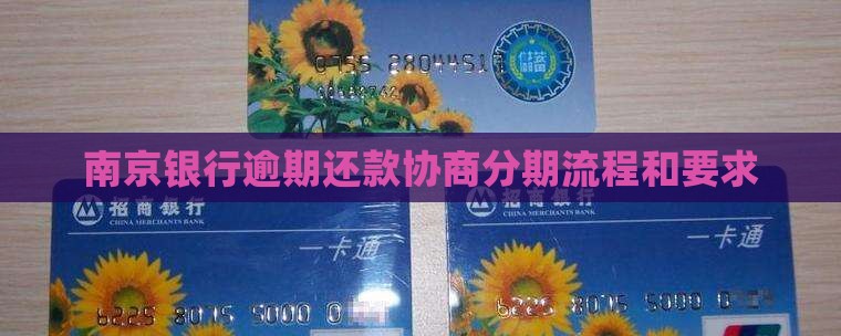 南京银行协商分期还款的流程和要求
