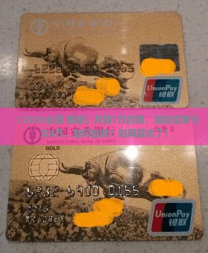 浦发银行信用卡欠了4万