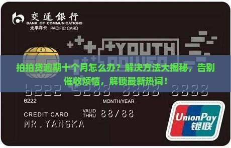 拍拍贷逾期了十个月怎么办能够解决