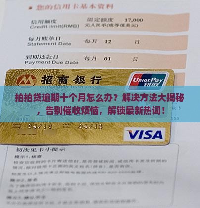 拍拍贷逾期了十个月怎么办能够解决