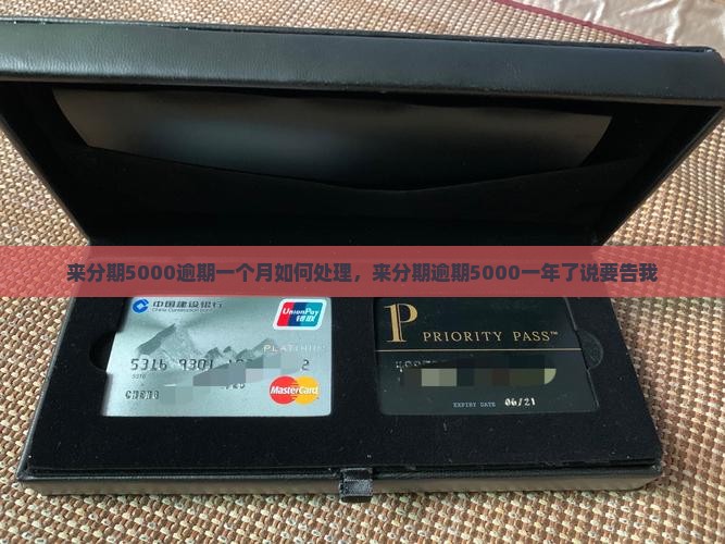 来分期5000逾期一个月如何处理