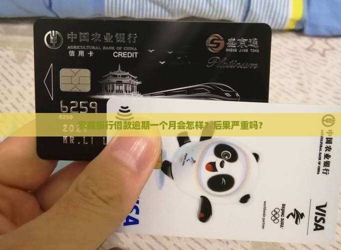 农商银行借款逾期一个月会怎样