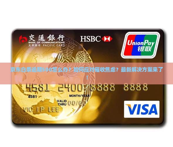 京东白条逾期500如何处理