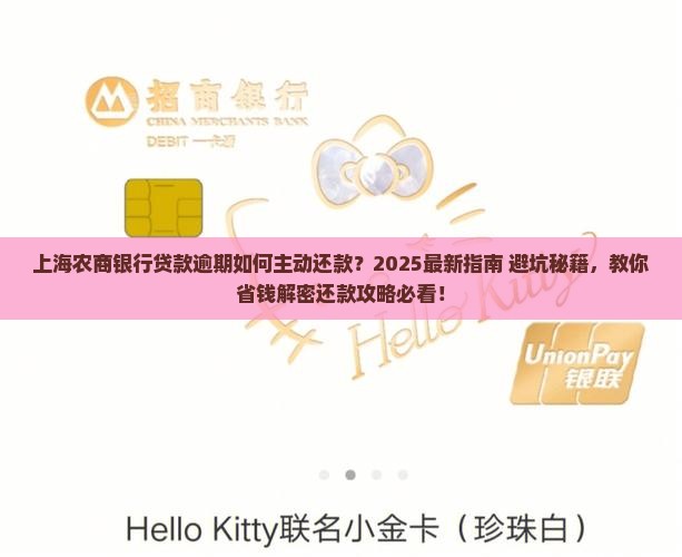 上海农商银行贷款逾期如何主动还款