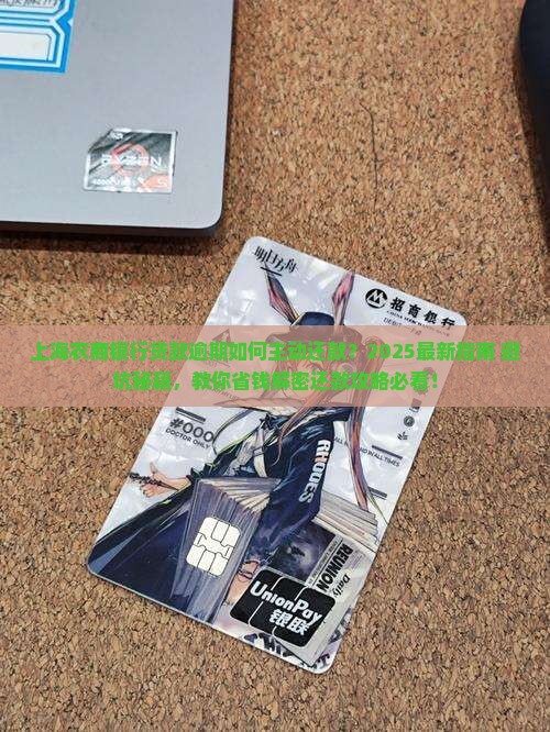 上海农商银行贷款逾期如何主动还款