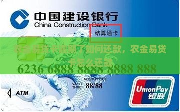 农金易贷卡逾期了如何还款