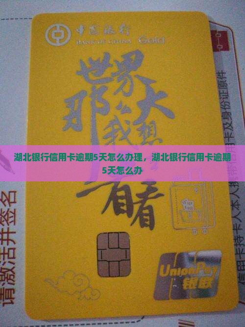 湖北银行信用卡逾期5天怎么办