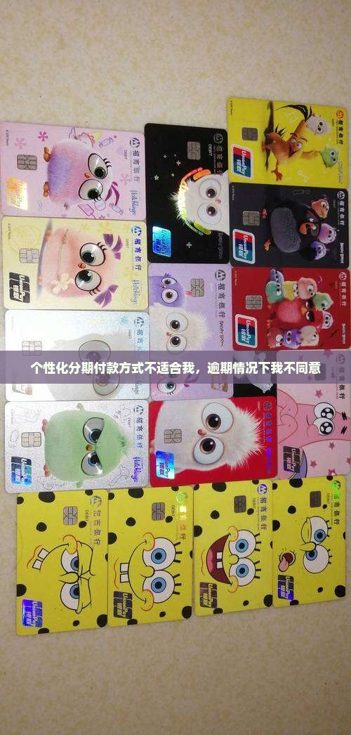 个性化分期付款方式不适合我