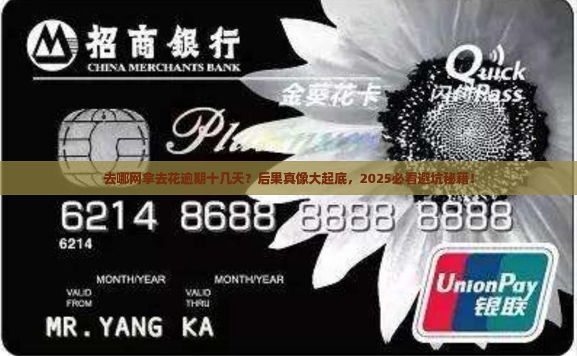 去哪网拿去花逾期十几天会有什么后果