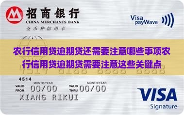 农行信用贷逾期贷还需要注意哪些事项