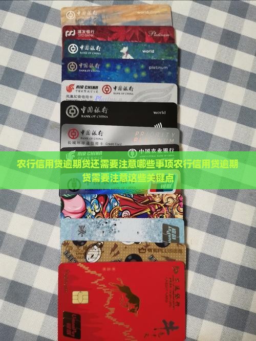 农行信用贷逾期贷还需要注意哪些事项
