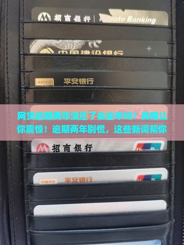 网贷逾期两年没还了会坐牢吗