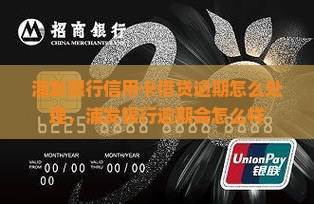 浦发银行信用卡借贷逾期怎么处理